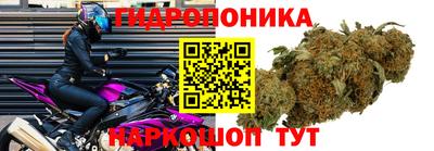 амфетамин Гусь-Хрустальный