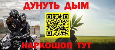 прущие грибы Гусиноозёрск