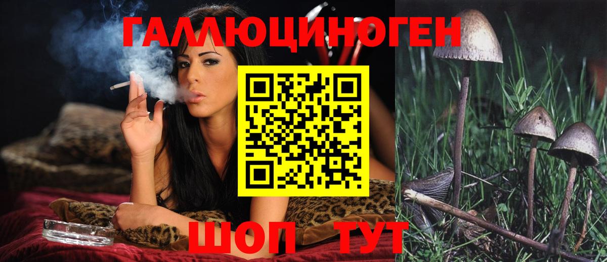 Галлюциногенные грибы Magic Shrooms  Вход с VPN  Мценск 