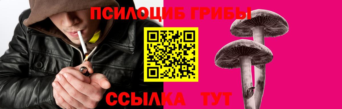 Галлюциногенные грибы мицелий Мценск